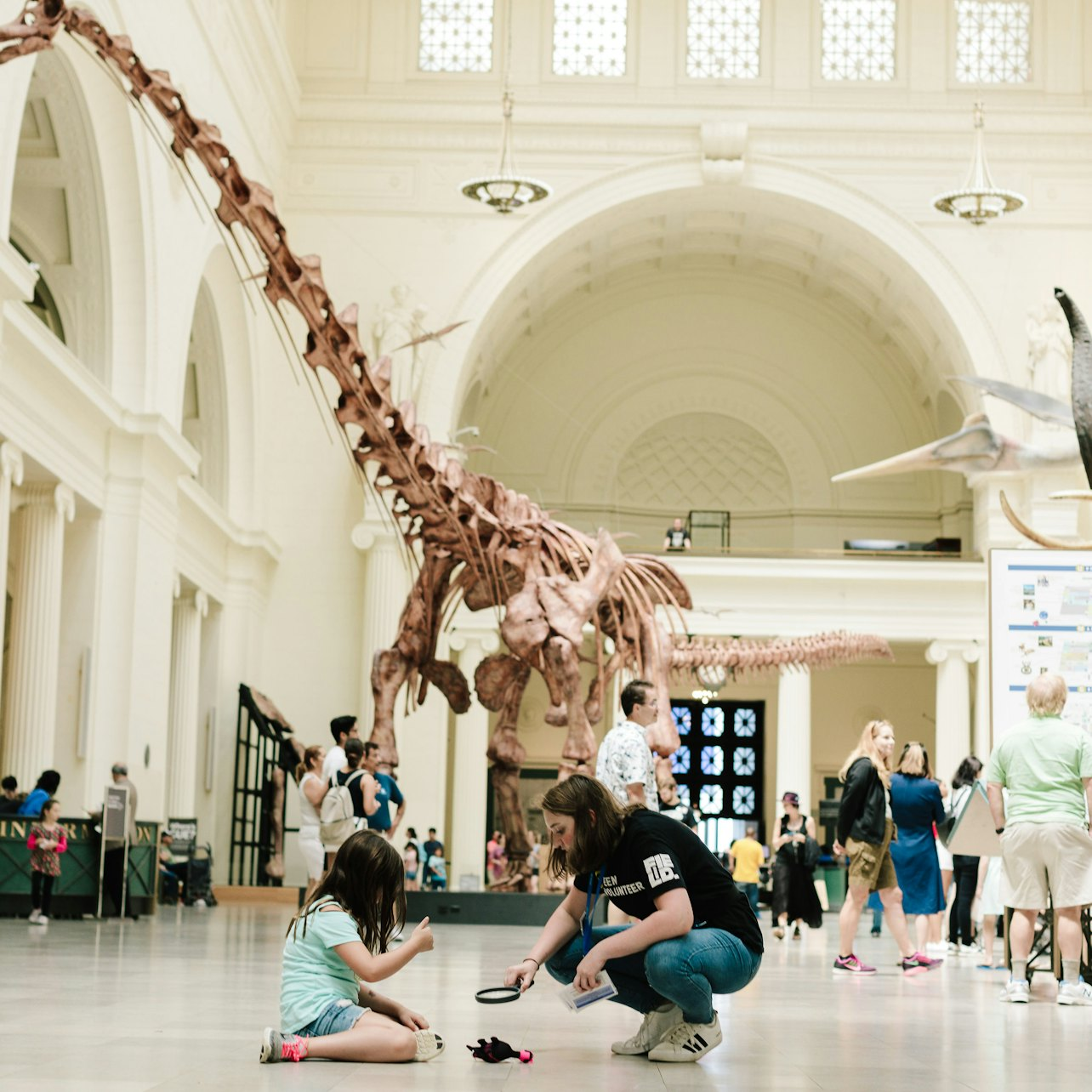 The Field Museum of Natural History: General Admission - Photo 1 of 9